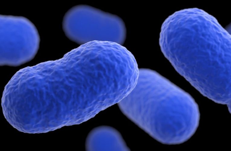 Foodborne illnesses continue to rise as efforts to prevent them fail