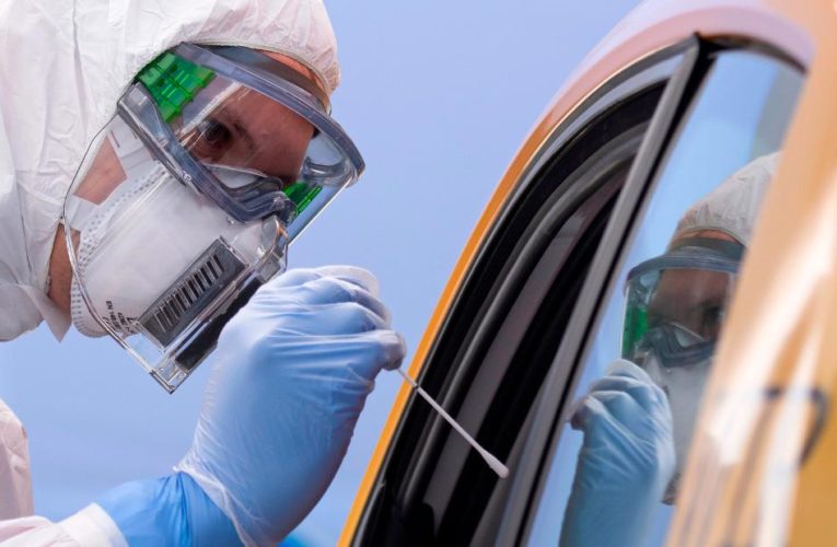 The new coronavirus is likely to spread until 60% to 70% of the population has been infected, a team of pandemic experts predict