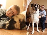 Coronavirus crisis separates Owen Howkins from his best friend, Haatchi the Anatolian Shepherd dog