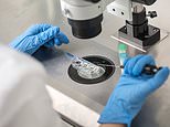 Number ‘freezing’ eggs or embryos soars, IVF figures show