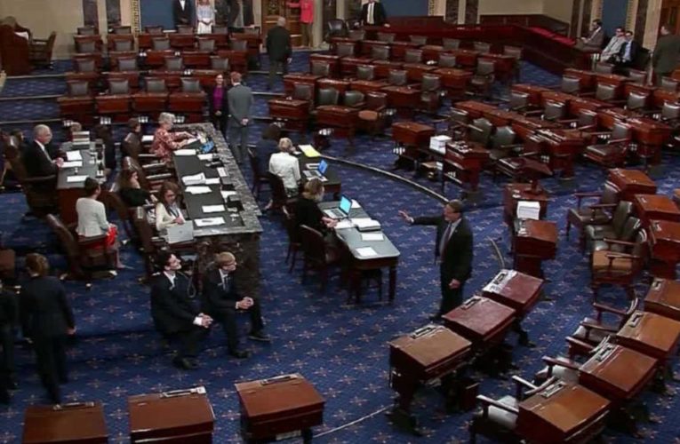 Another round of payments, more PPP loans and a cut in enhanced unemployment benefits are proposed in the $1 trillion plan