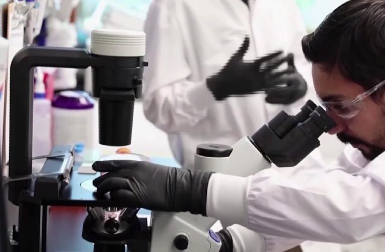 Why Fauci thinks the US doesn’t have to lockdown