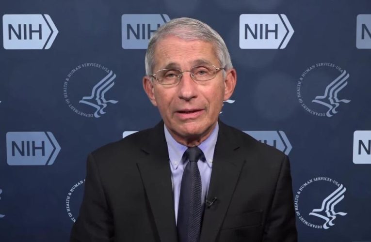 Fauci says he was in surgery when task force discussed CDC testing guidelines