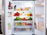 Government body ends rows over ‘what food goes where’ by publishing a complete storage guide