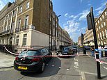Man in his 20s is shot and another is stabbed near Hyde Park on another night of bloodshed in London