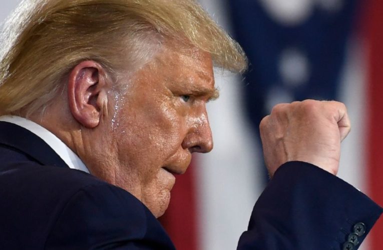 Trump bans dealings with Chinese owners of TikTok