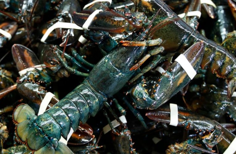 EU agrees to cut taxes on US lobsters in modest trade pact