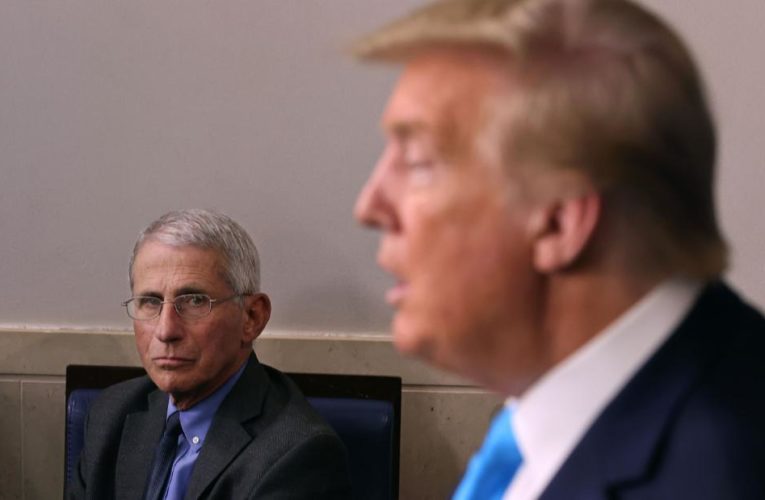 Fauci says he is ‘absolutely not’ surprised Trump got Covid-19