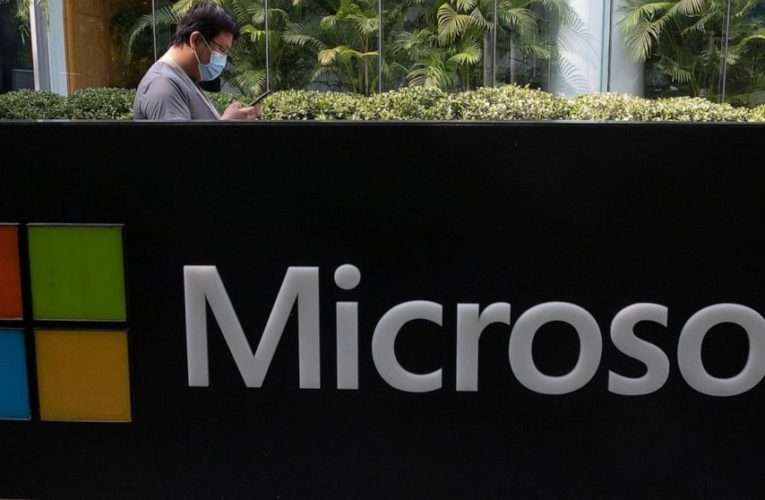 Microsoft attempts takedown of global criminal botnet