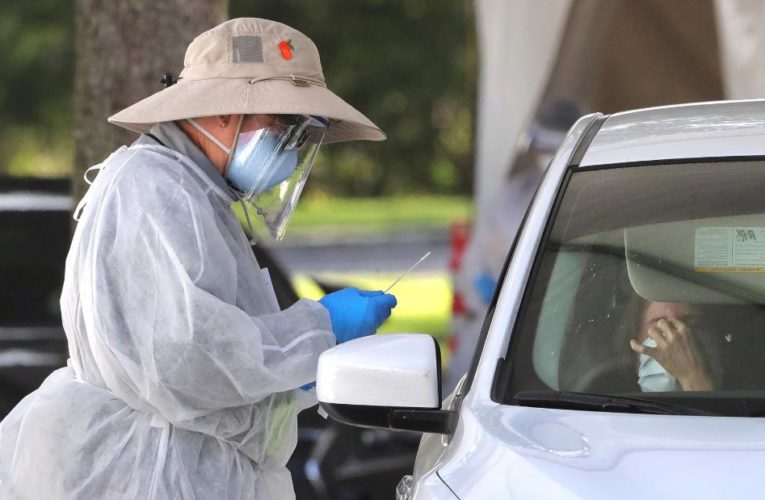 Trump suggests he might fire Fauci after election