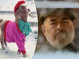 TK Maxx kicks off the festive season with a holiday advert starring a GOAT in designer gear