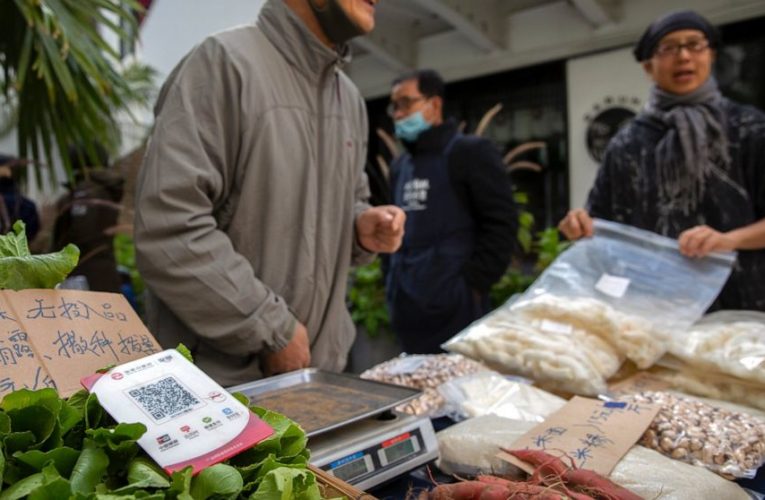 Market debut of Chinese e-finance giant Ant postponed