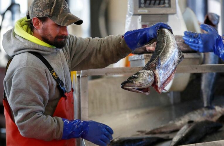 Pandemic has taken a bite out of seafood trade