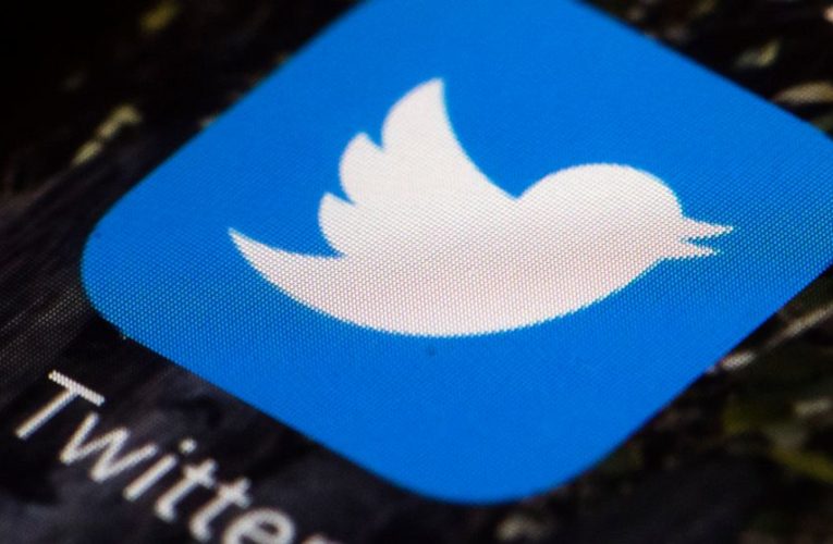 Did social media actually counter election misinformation?