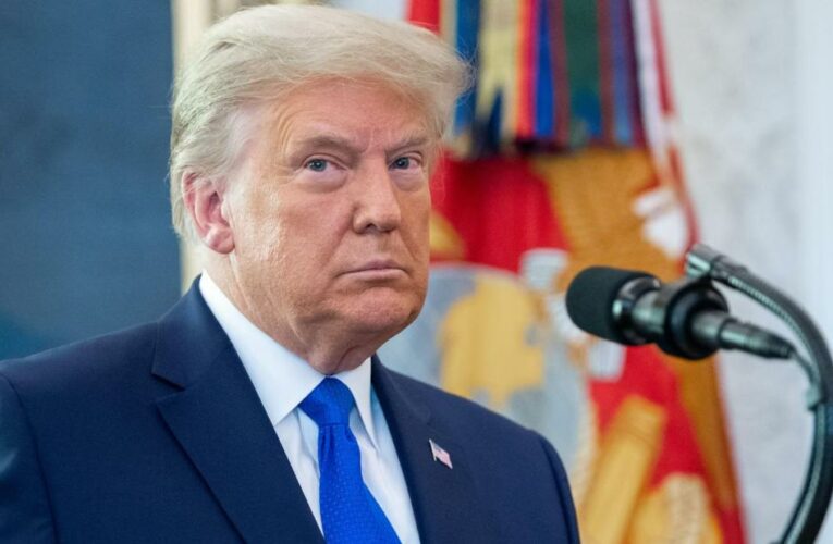 Trump takes shot at German Covid-19 deaths. See the facts