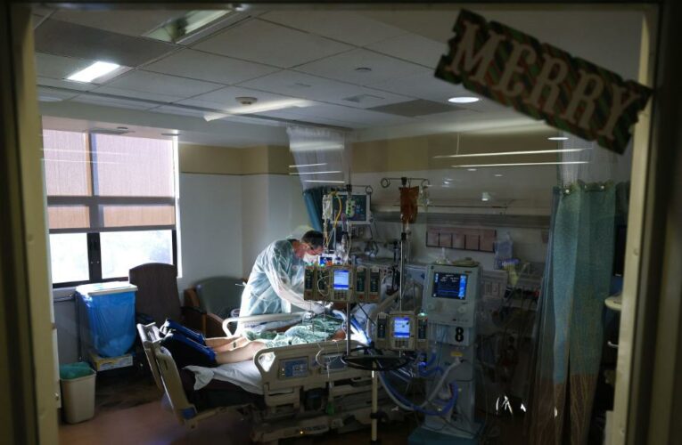 US Covid-19 cases may be leveling off, but more people are dying