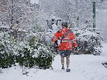 Royal Mail tells shoppers not to leave present-buying to the last minute amid fears of a ‘mad panic’