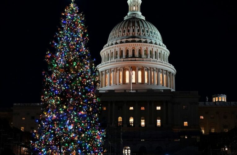 Virus talks drag on liability as Congress preps stopgap aid