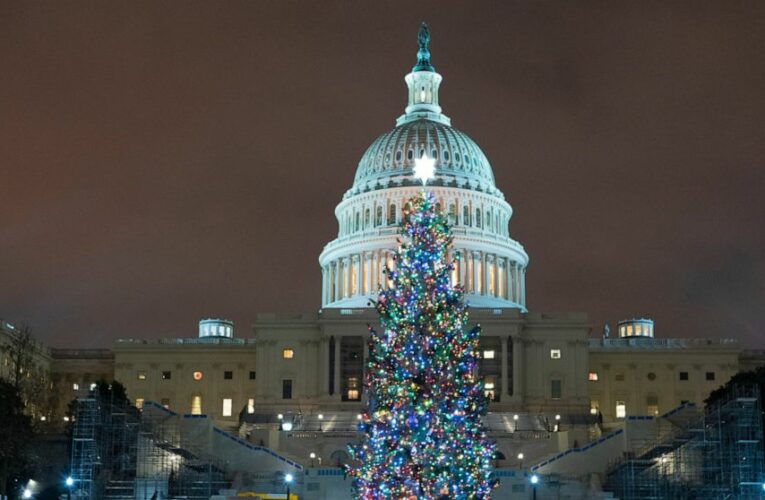 Congress seals agreement on $900 billion COVID relief bill