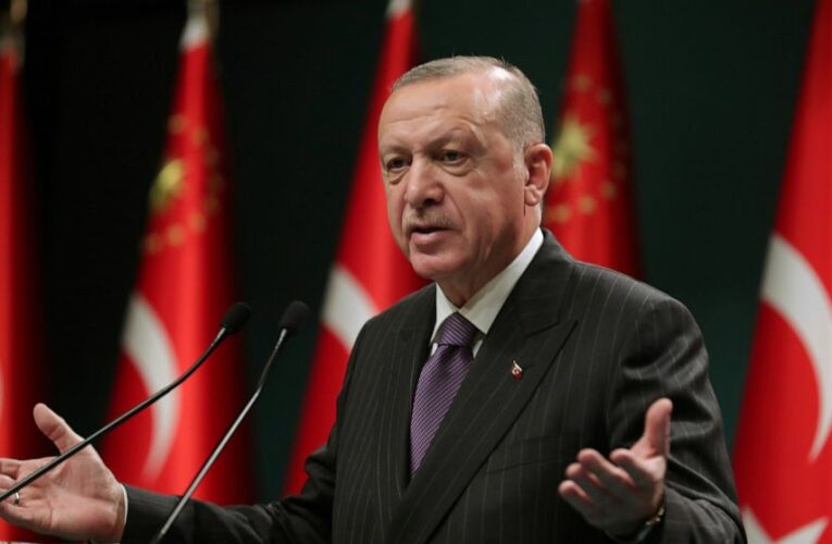 Erdogan: US aims to stymie growing Turkish defense industry