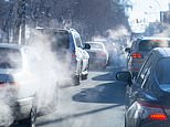 Experts call for urgent action to address air pollution