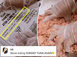 Subway staff TikTok video shows how tuna salad made amid legal suit