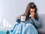 Flu is ‘almost wiped out’ and at lowest level in 130 YEARS as seasonal virus plummets by 95% 