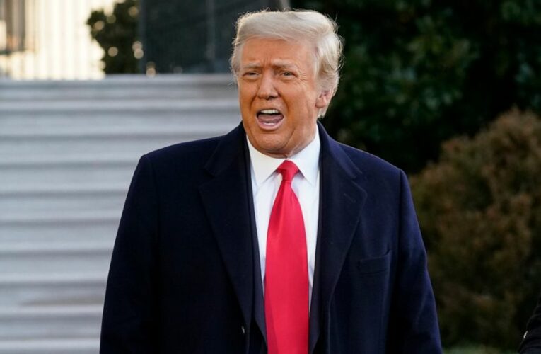 Revenue at Trump hotels, resorts hit hard by pandemic