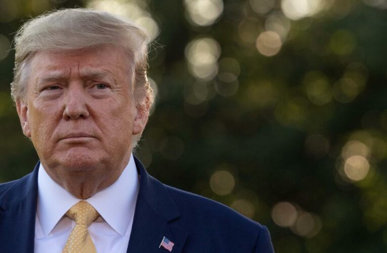 A brief filed before Trump’s impeachment trial claims that his speech urged those gathered to be peaceful