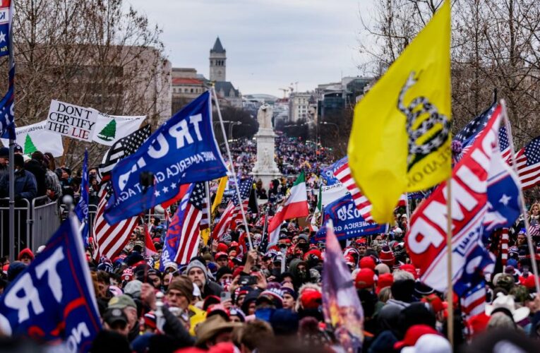 Vaccine skeptics and far-right political groups are blending theories about government mistrust at a critical moment in the pandemic fight