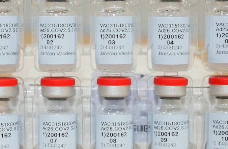 J&J single-dose COVID-19 shot poised for FDA decision