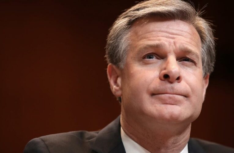 Wray knocks down conspiracy theory that rioters were ‘fake Trump protesters’