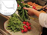 Five-a-day diet: Two servings of fruit and three of vegetables is key to longer life