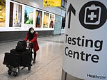 ‘Gold-standard’ swab tests costing holidaymakers just £45 each will be key to overseas travel