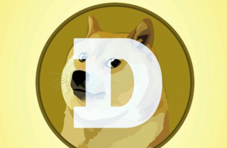 Dogecoin has its day, as cryptocurrency fans push it up