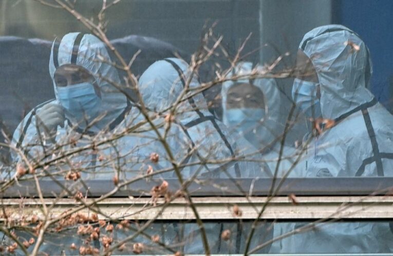 The US is calling for more study and more open consideration of the idea that the pandemic began by mistakes or an accident in a Chinese lab