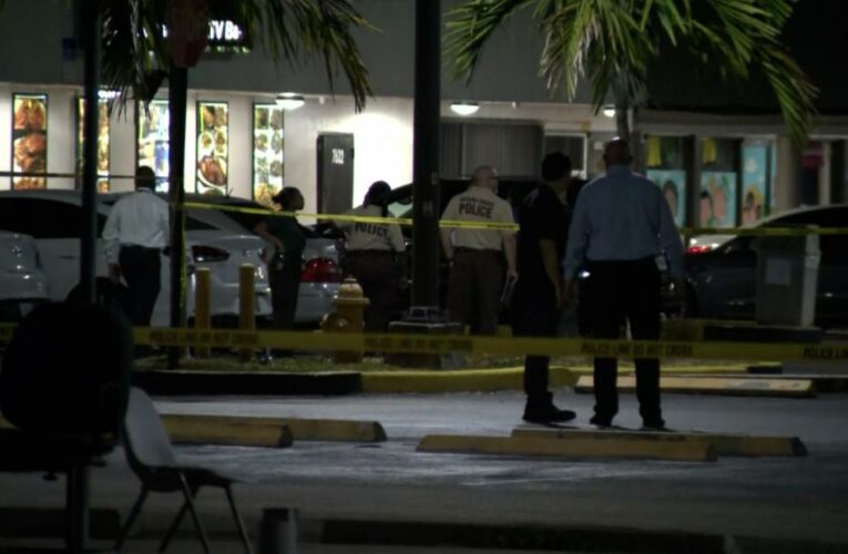 Three people armed with assault weapons and handguns exited a vehicle and started firing into the crowd, police say