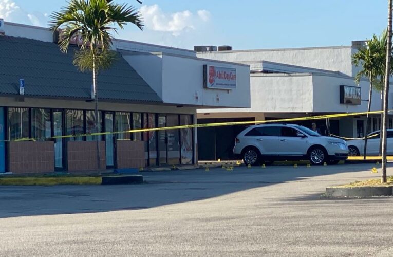 Three people armed with assault weapons and handguns exited a vehicle and started firing into the crowd, police say