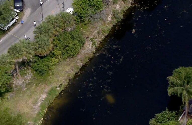 Stolen SUV connected to Miami-Dade mass shooting found in canal