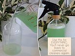 Liesl Elizabeth shares her simple five-ingredient recipe for a DIY cleaning spray