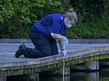 Toddler, 2, is in a critical condition after being pulled from lake as teenager, 18, arrested 