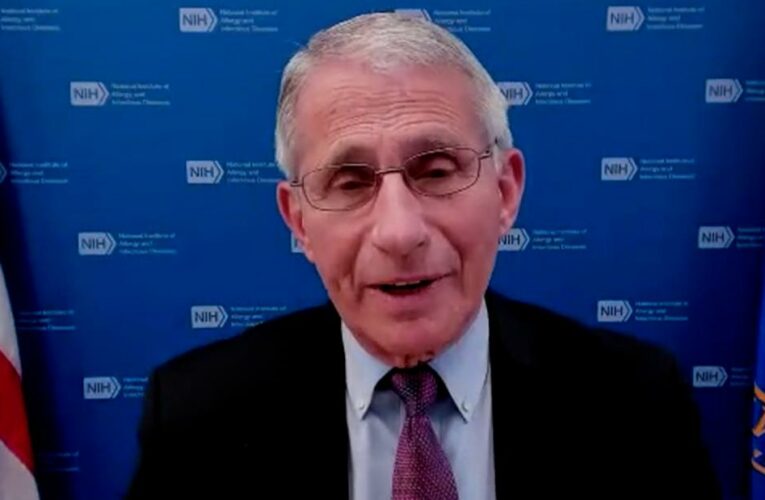 Berman reads Dr. Fauci some of his released emails. Hear his response