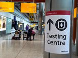 ANDREW FLINTHAM: Unfair ‘tax’ on Covid tests is turning global Britain into little Britain