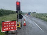 Badgers cause 18 months of traffic chaos after council was forced to bring in temporary lights