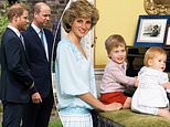 RICHARD KAY: The legacy my friend Princess Diana would really want?