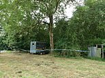 Women seriously injured after 60ft tree crashed on top of them at birthday party during Storm Evert