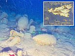 Roman shipwreck dating back 2,200 years and packed with wine jars is found off the coast of Sicily 