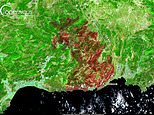 Shocking satellite images reveal ten-mile-long scorch mark caused by wildfires in Turkey