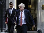 STEPHEN GLOVER: Amber list shambles marks out the border between Boris Johnson and Rishi Sunak 