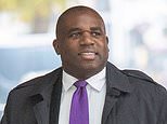 People should be able to declare themselves ‘Black English’ on the census says Labour MP David Lammy